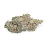 "Gelato" THCa Flower