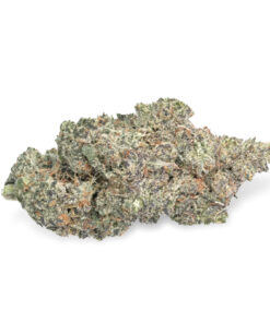 "Gelato" THCa Flower