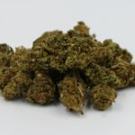 where am i thca flower